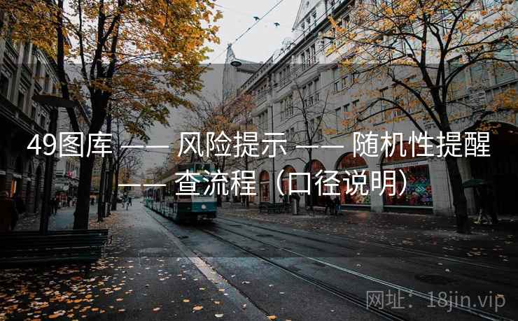 49图库 —— 风险提示 —— 随机性提醒 —— 查流程（口径说明）