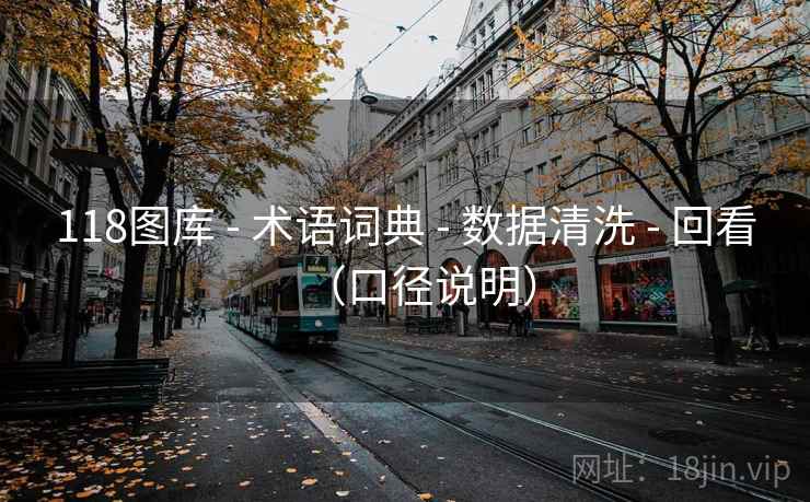 118图库 - 术语词典 - 数据清洗 - 回看（口径说明）