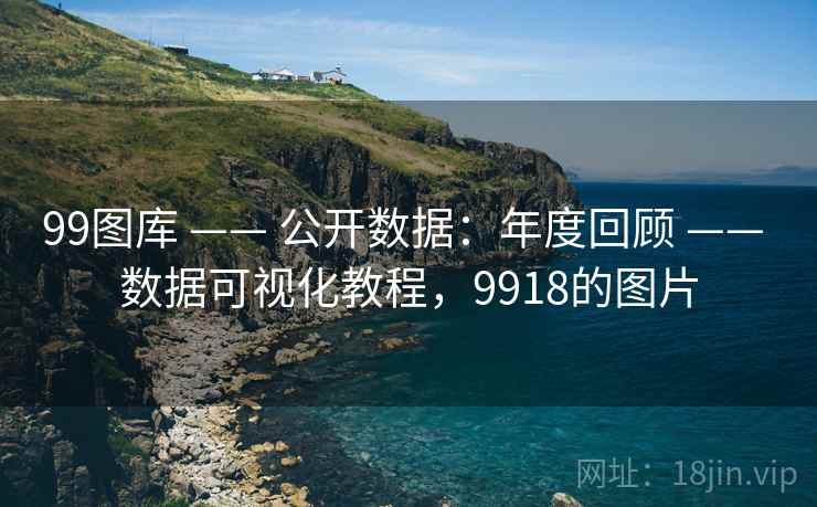 99图库 —— 公开数据：年度回顾 —— 数据可视化教程，9918的图片