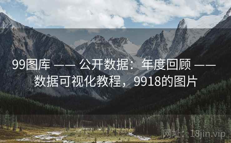 99图库 —— 公开数据：年度回顾 —— 数据可视化教程，9918的图片